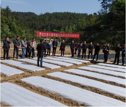 神农衣-全生物降解营养地膜